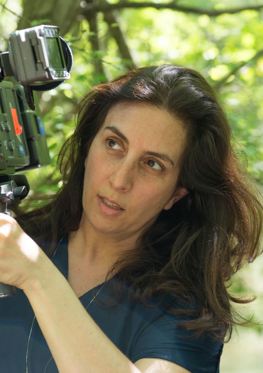 Director