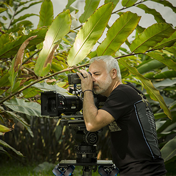 Director