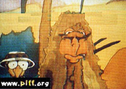 Behind the Camel