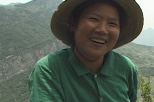 Bingai