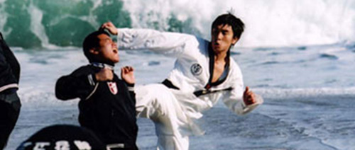 Spin Kick
