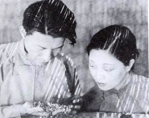 The Spring Silkworms