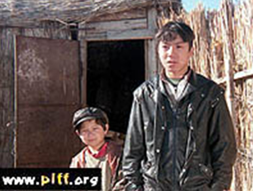 Three Brothers