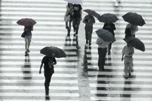 비(雨)